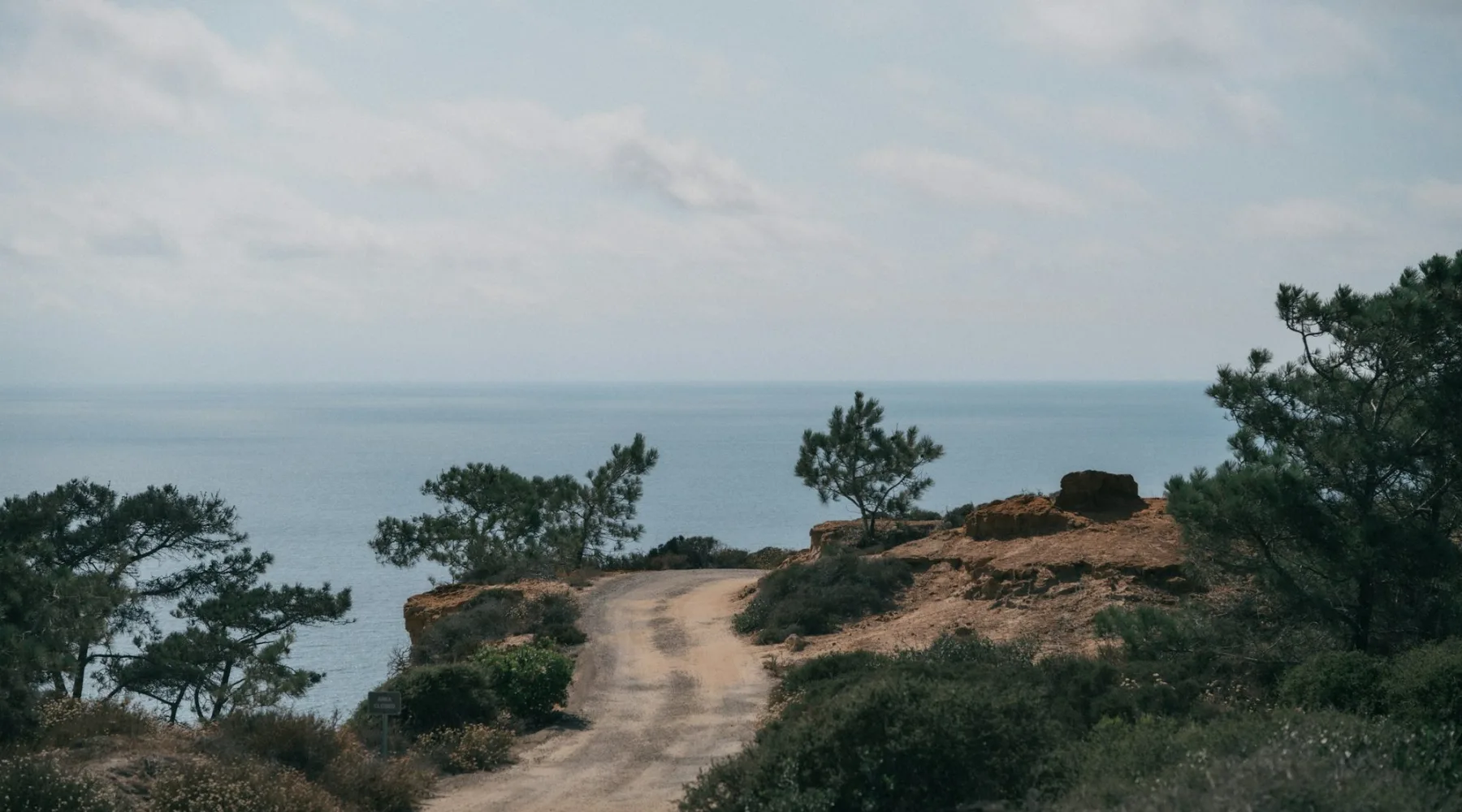 Chemin bordé de pins menant à la falaise