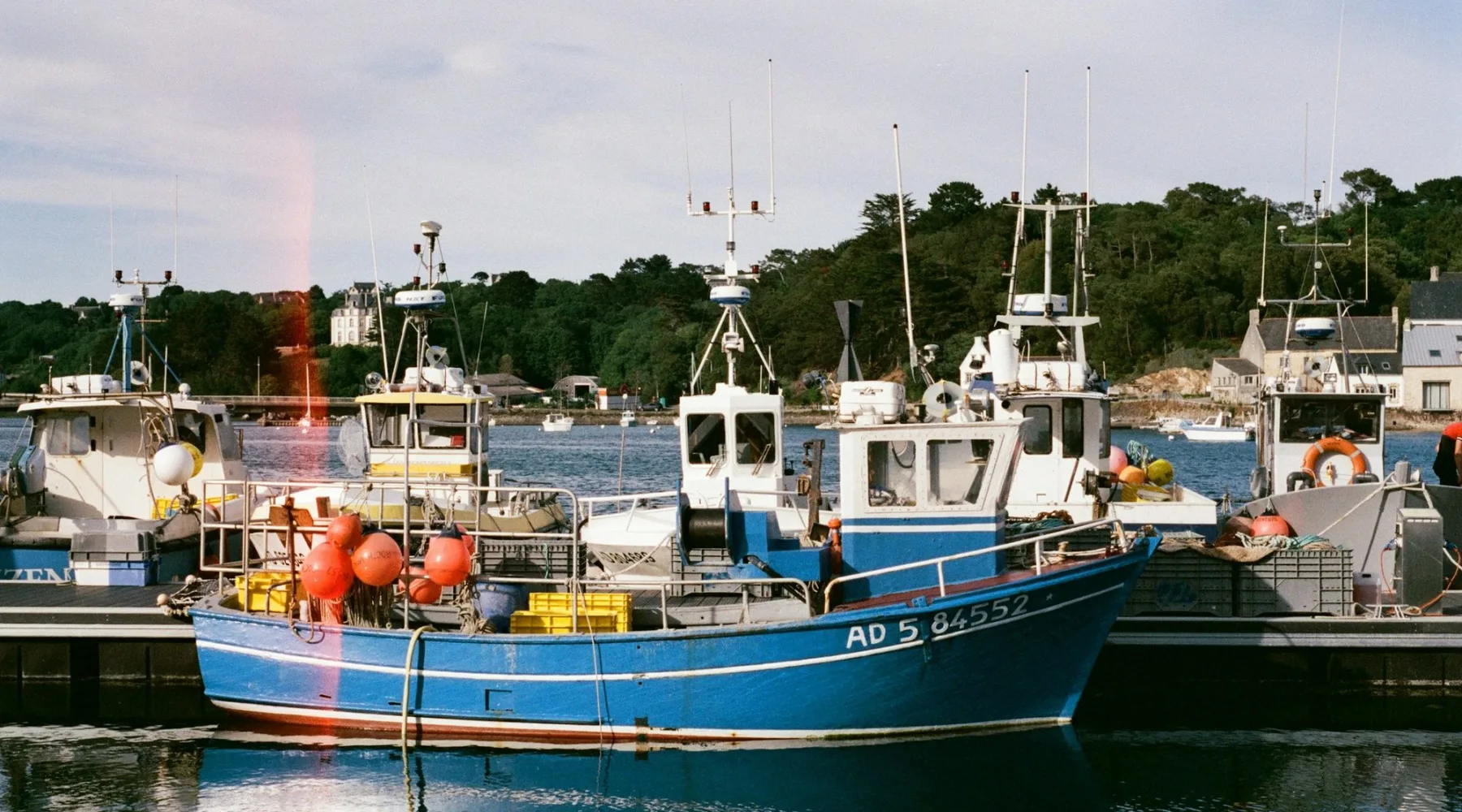 Bateaux de pêche colorés au port